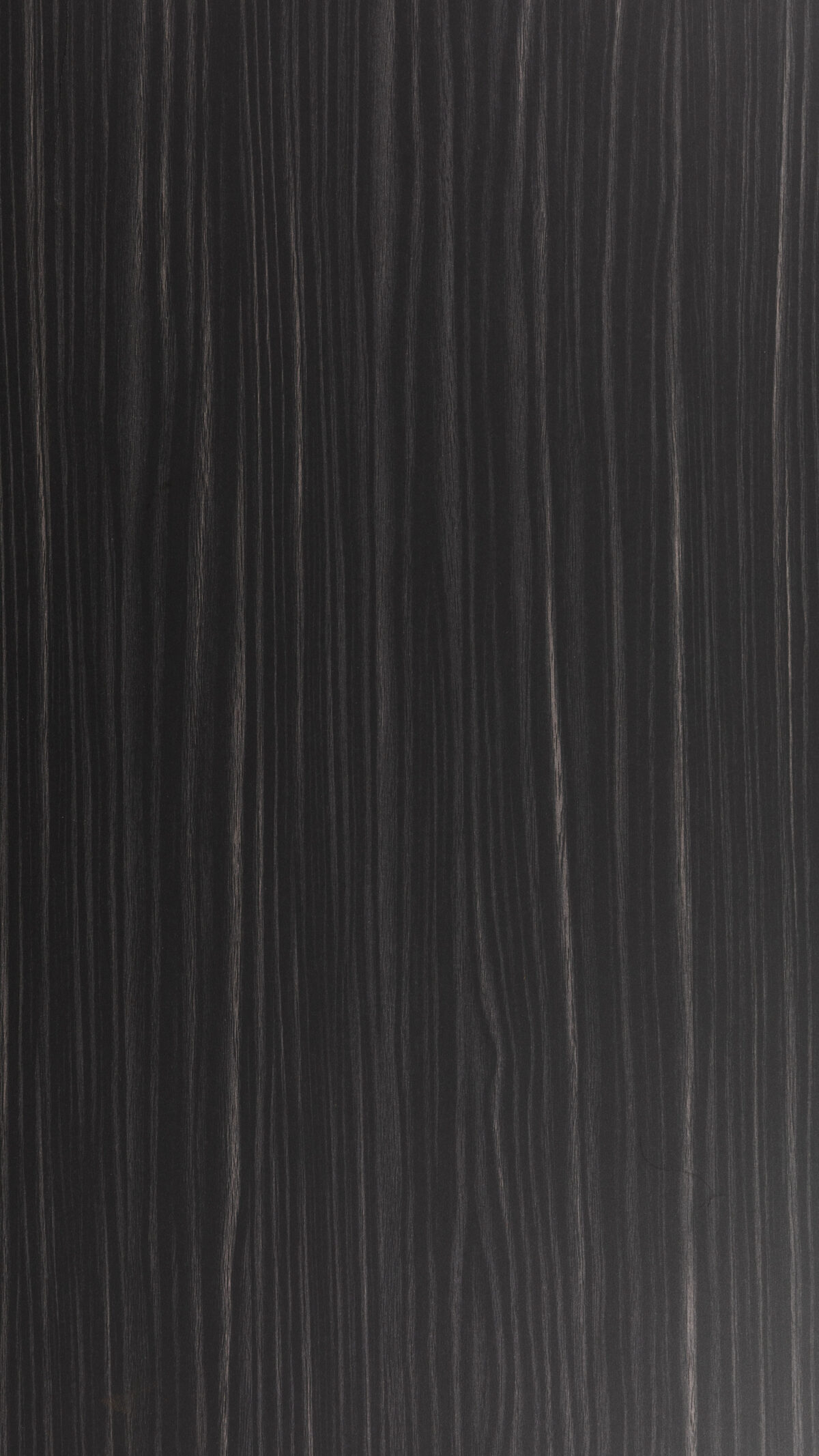 0144 S (b) Black Bean