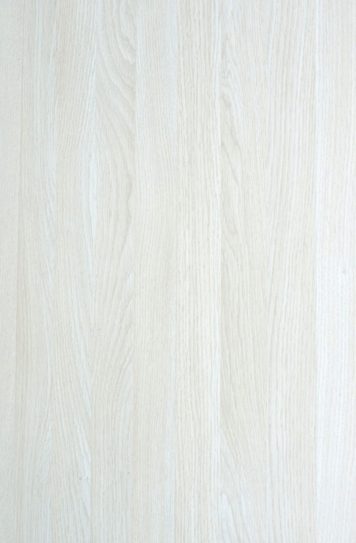 0159 S White Ashwood (1)