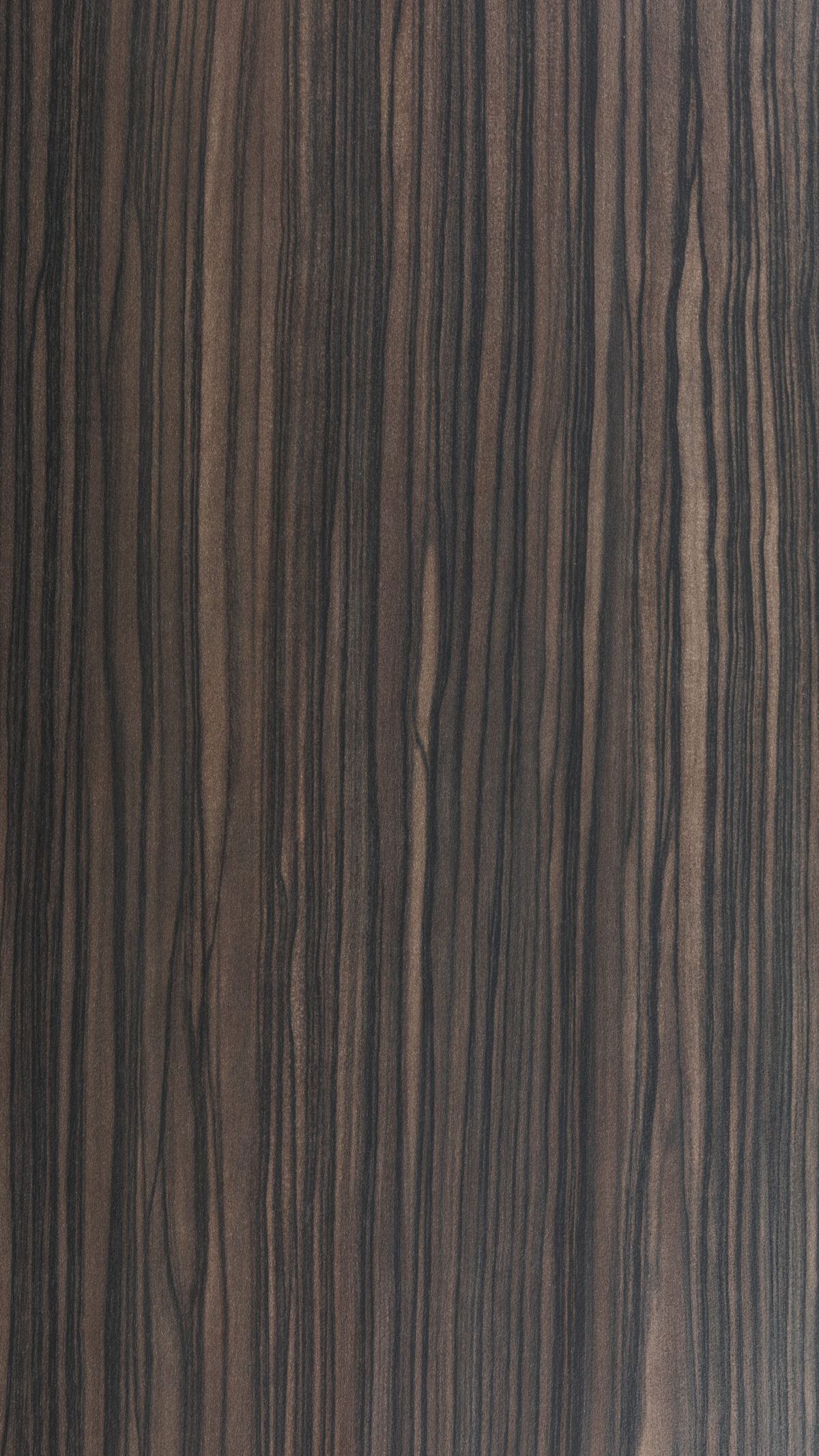 0182 S Macassar Ebony (b)