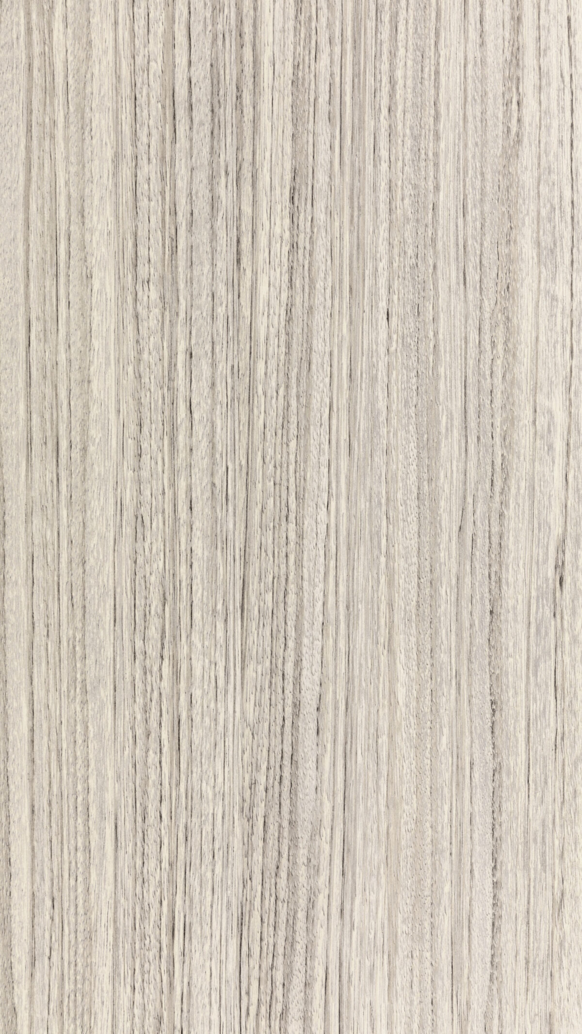 0189 S Tundra Forest (b)