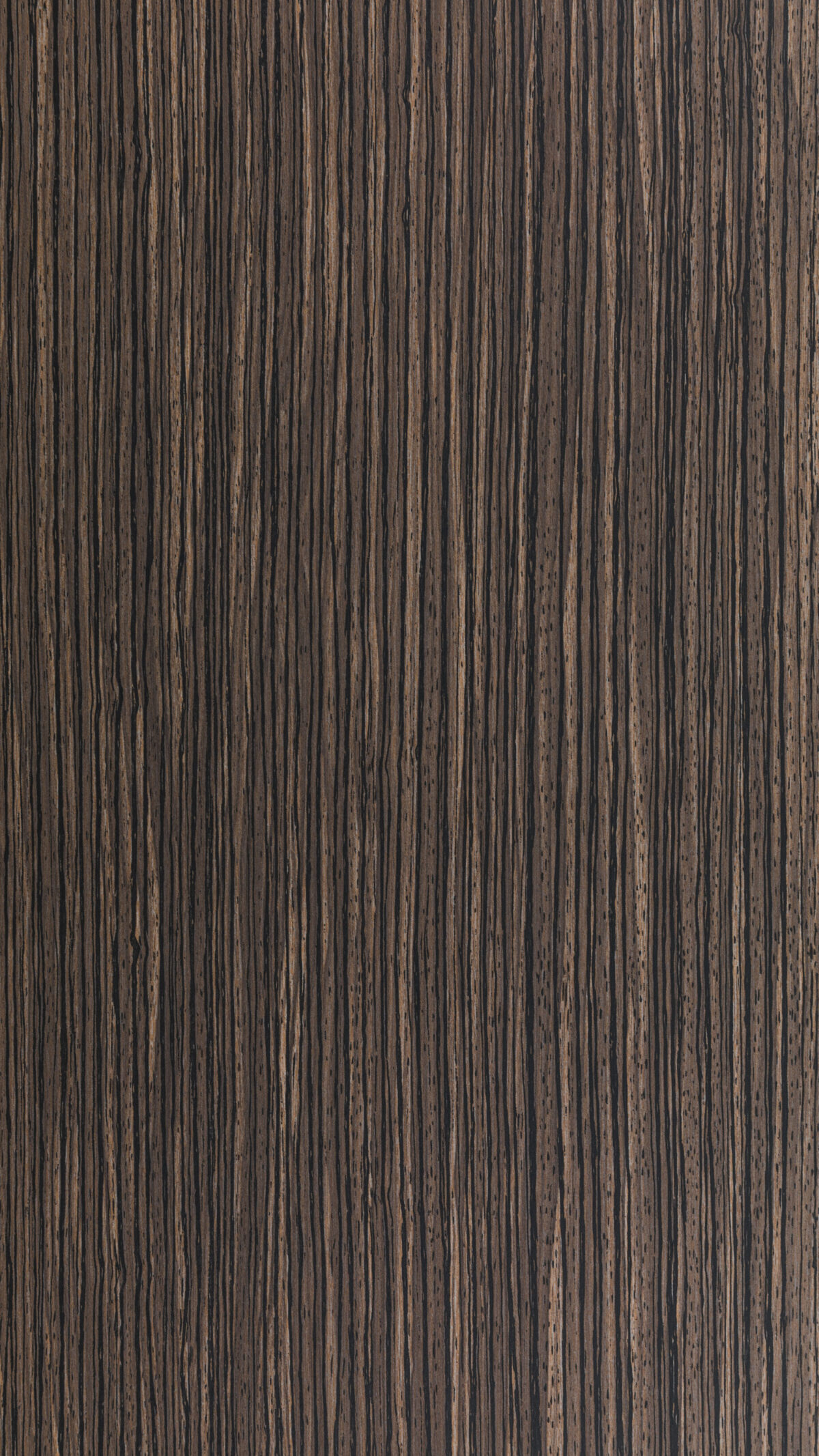 0501 S Dusky Lumber (b)