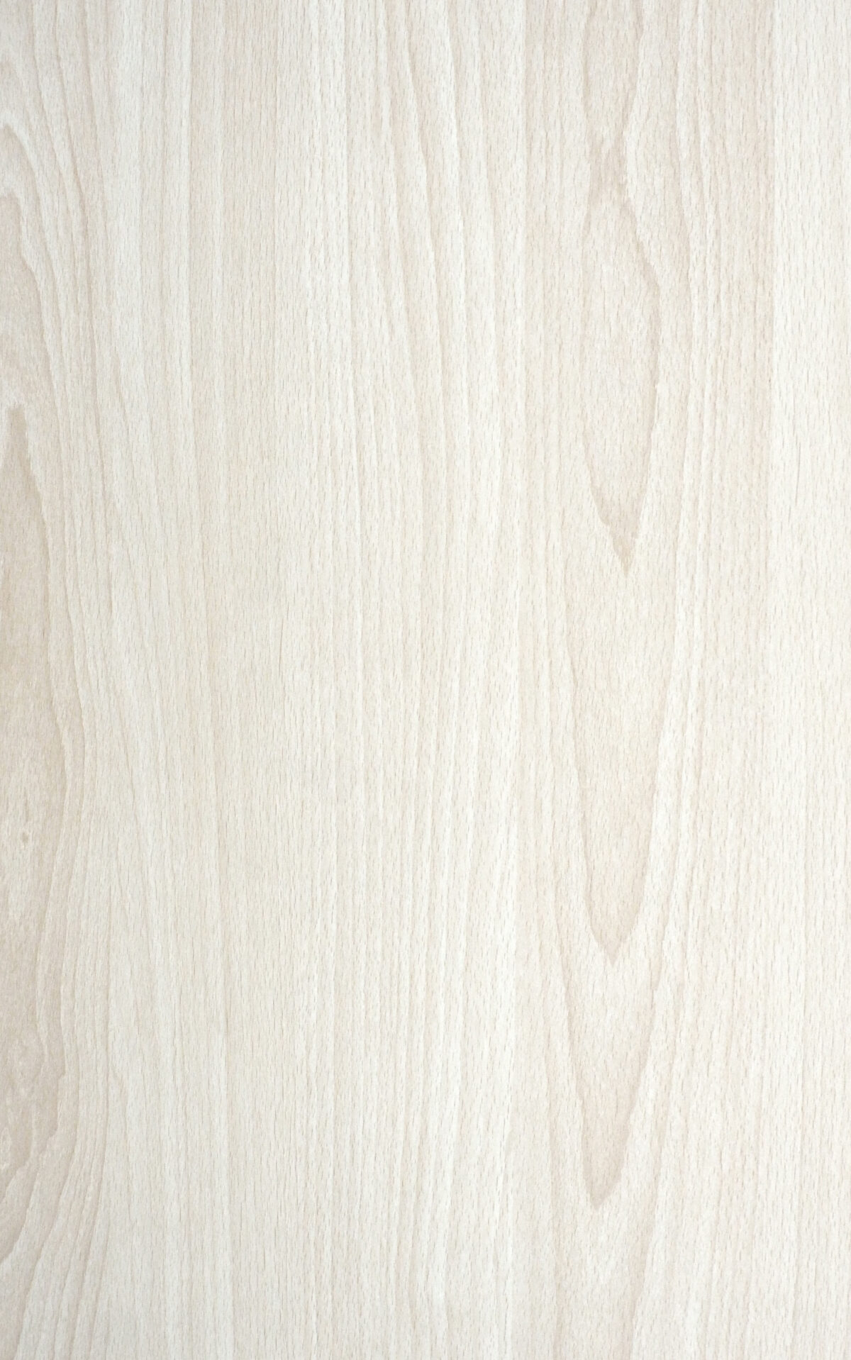 0526 S White Acacia (1)