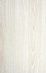GMM 0526 S – White Acacia