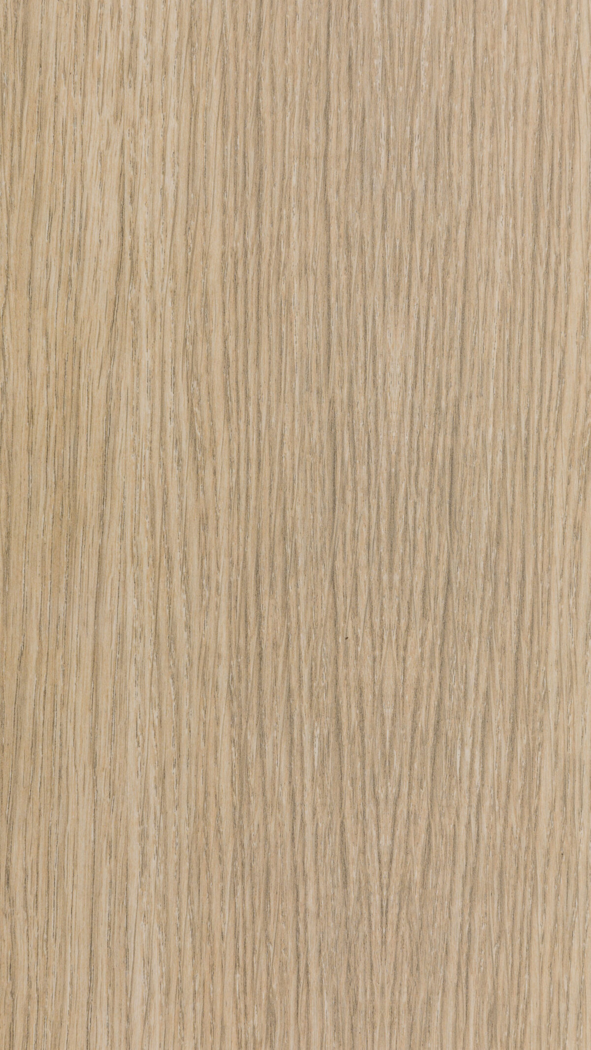0596 S Scandinavia Oak (b)