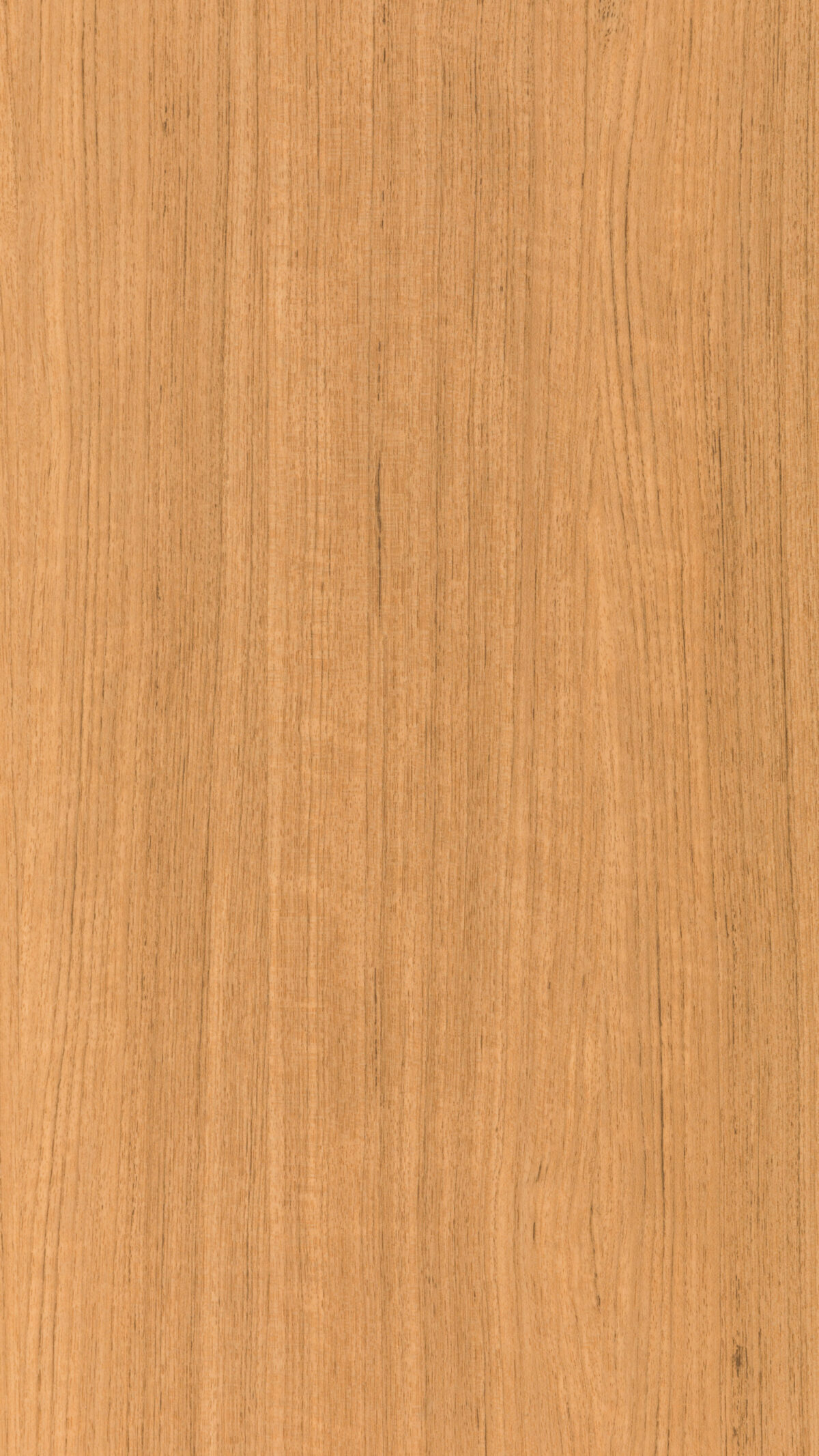 0894 S Teak Exotica (b)