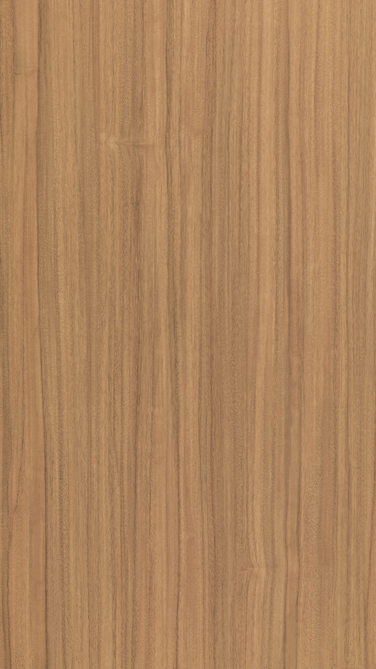 Arizona Walnut Gmm 0184 V(b)