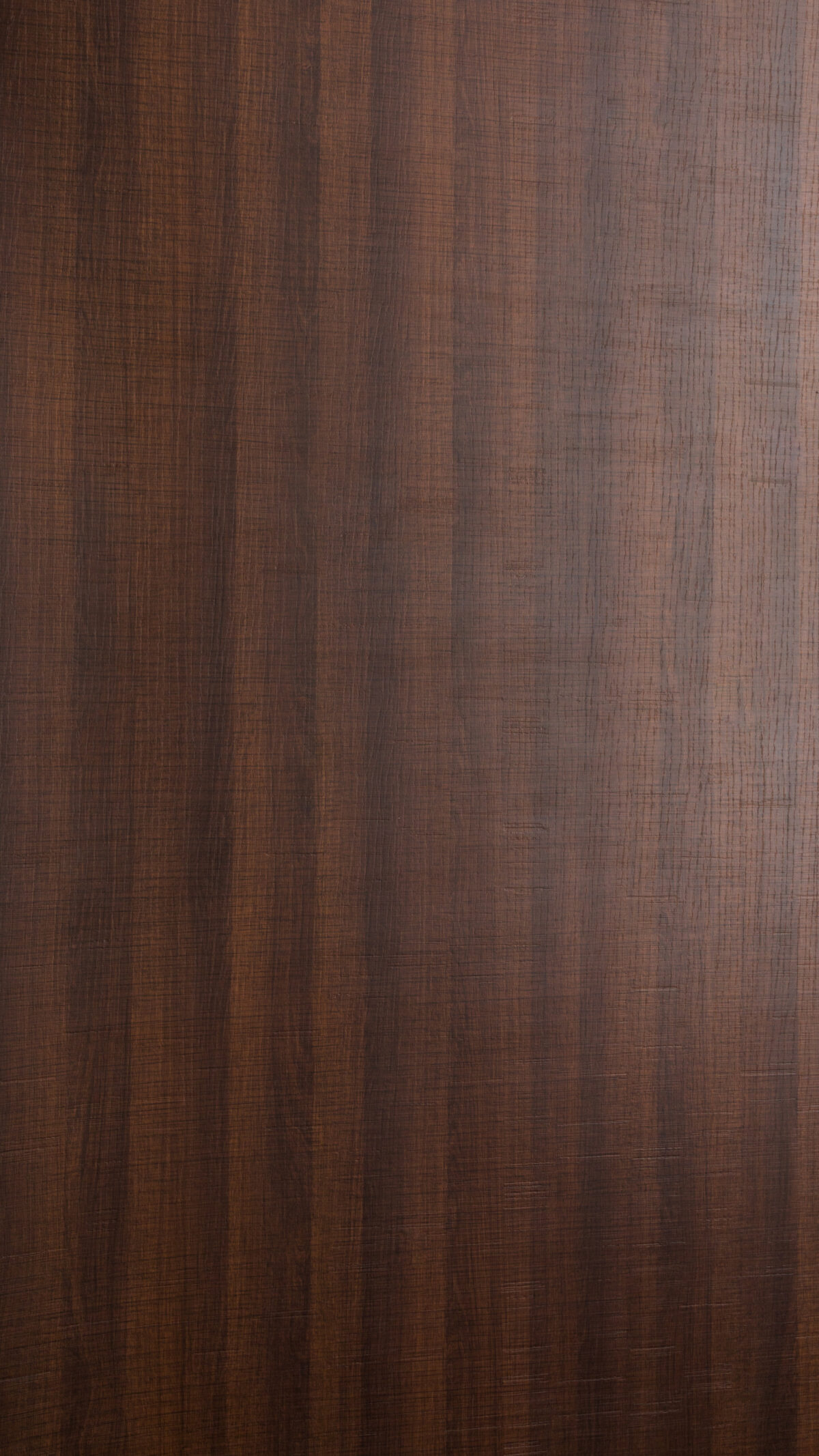 Auburn Oak Gmm 0142 Sct (a)