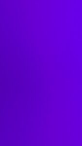 GMA 1565 S – Blackcurrant