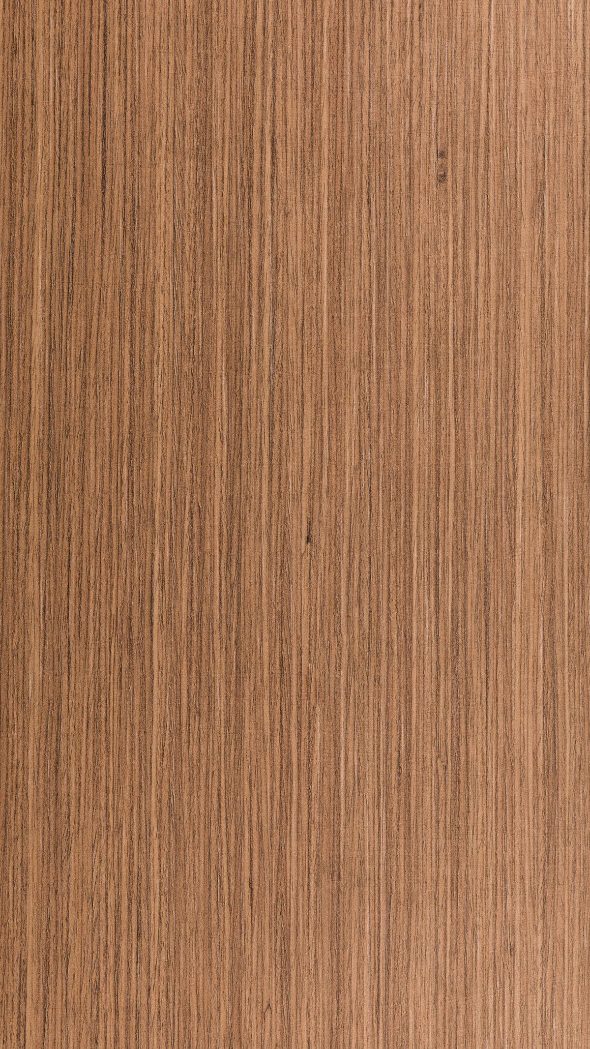 BROWN OAK - GMA 0081 S