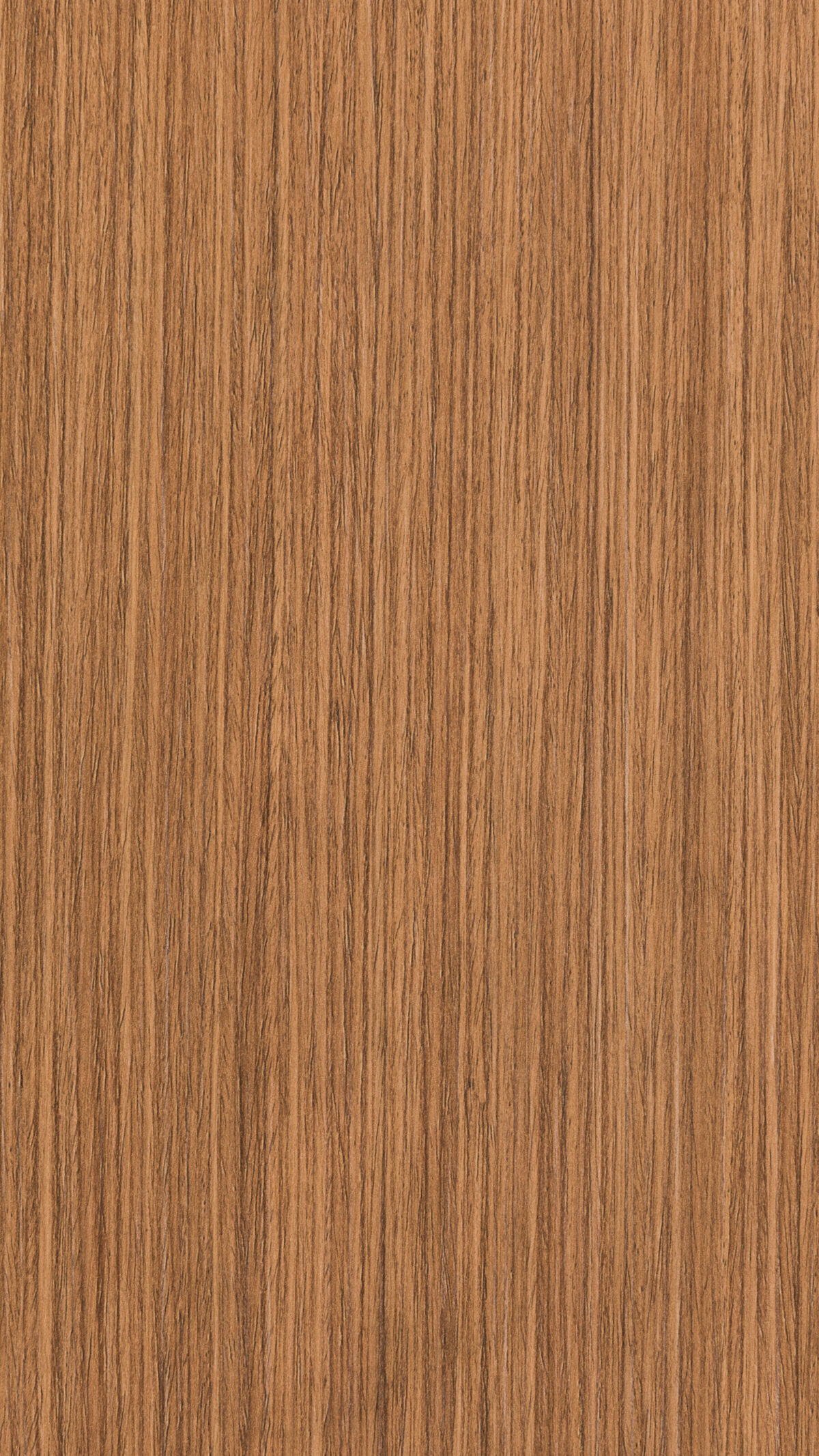 Brown Oak Gmm 0881 G (b)