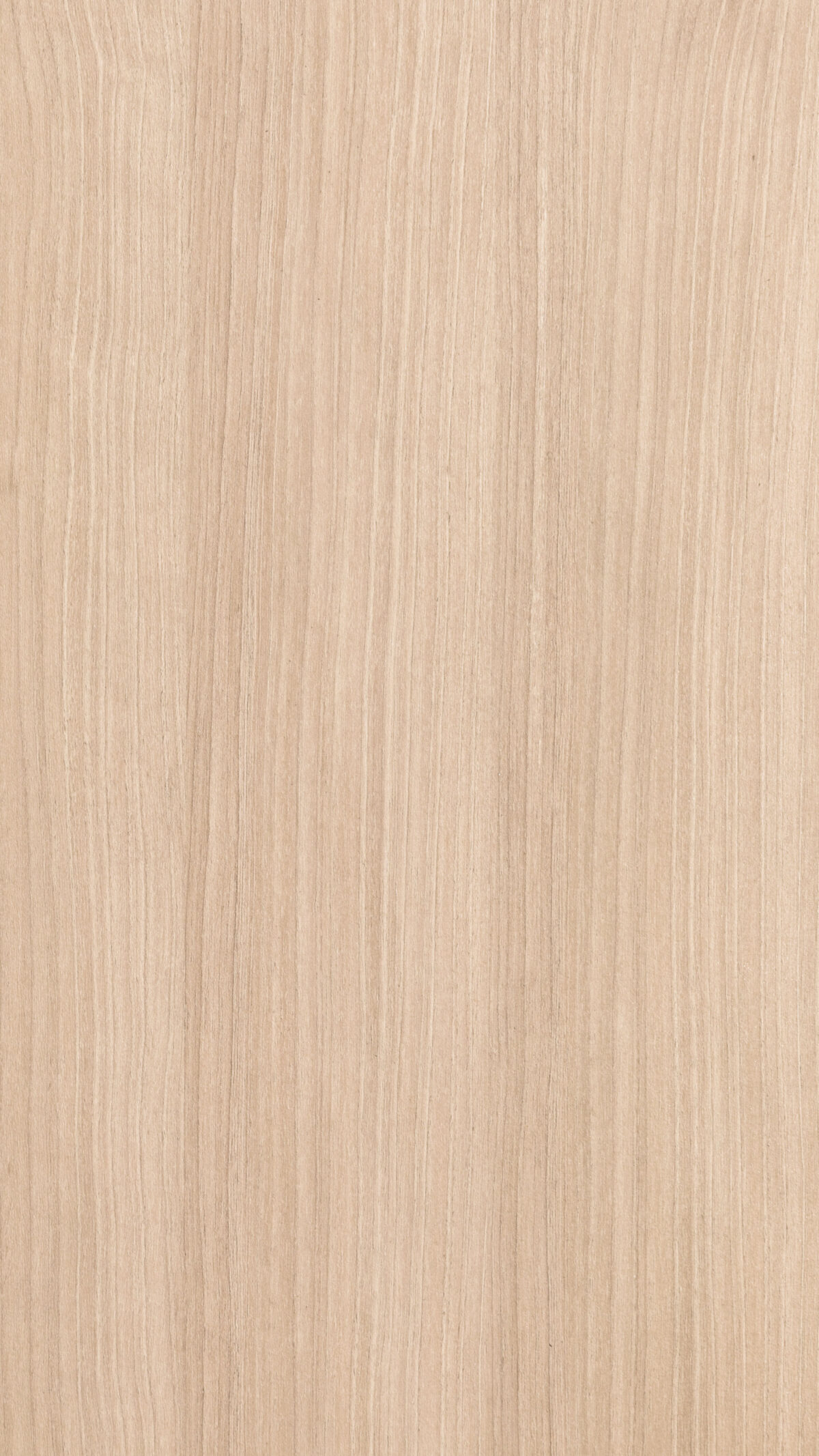 Cafe Walnut Gmm 0882 V (b)