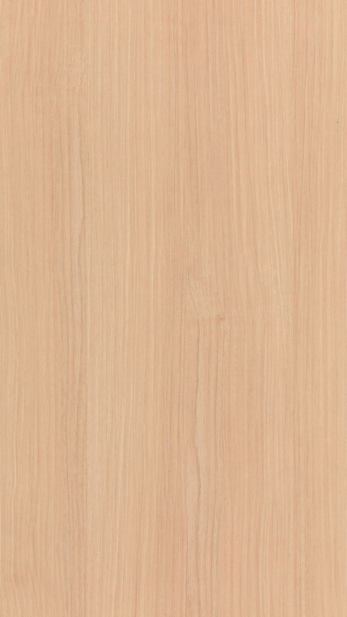 Cafe Walnut Gmm 0882 W (b)