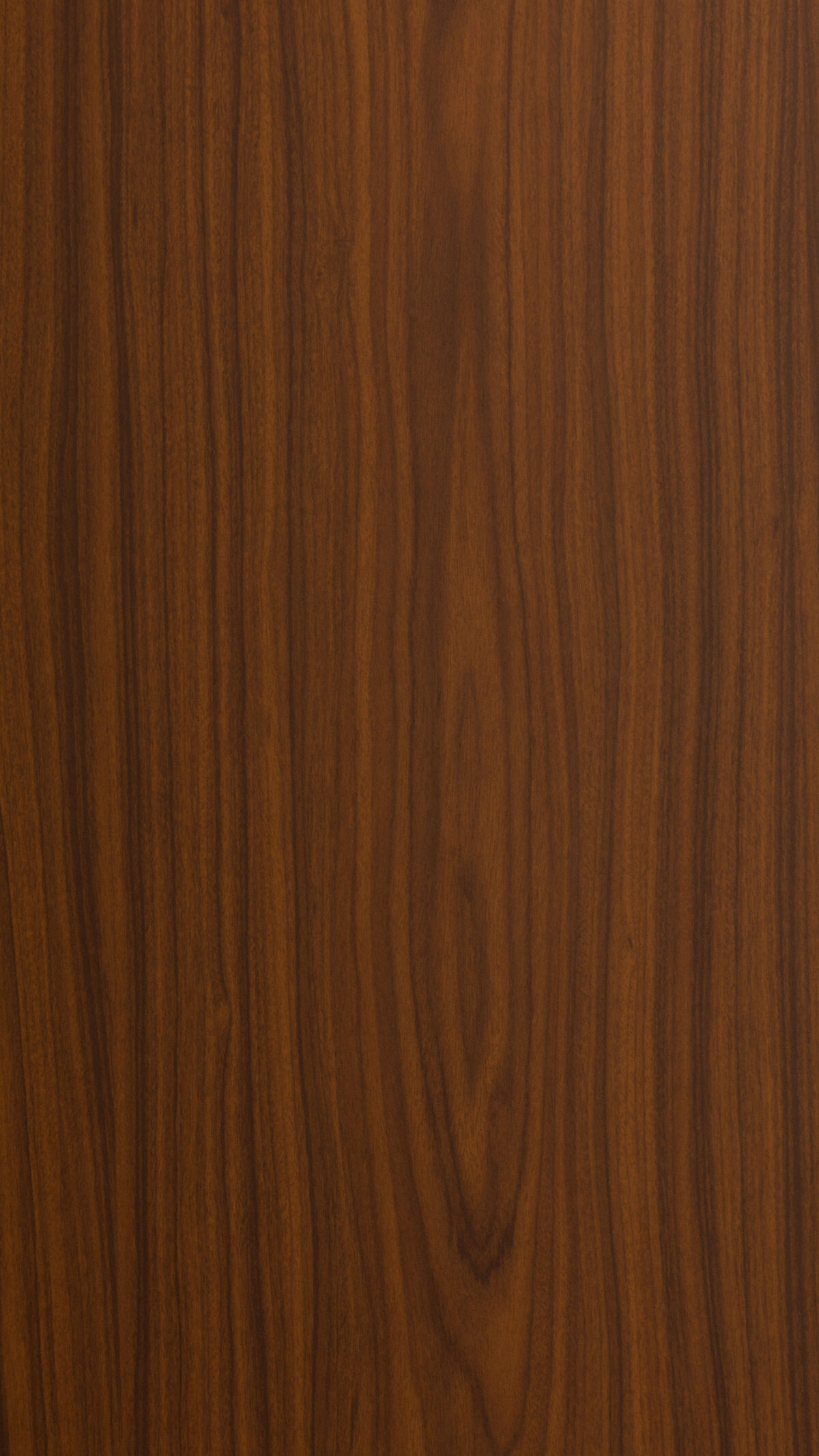 Canadian Walnut Gmm 0544 V (b)