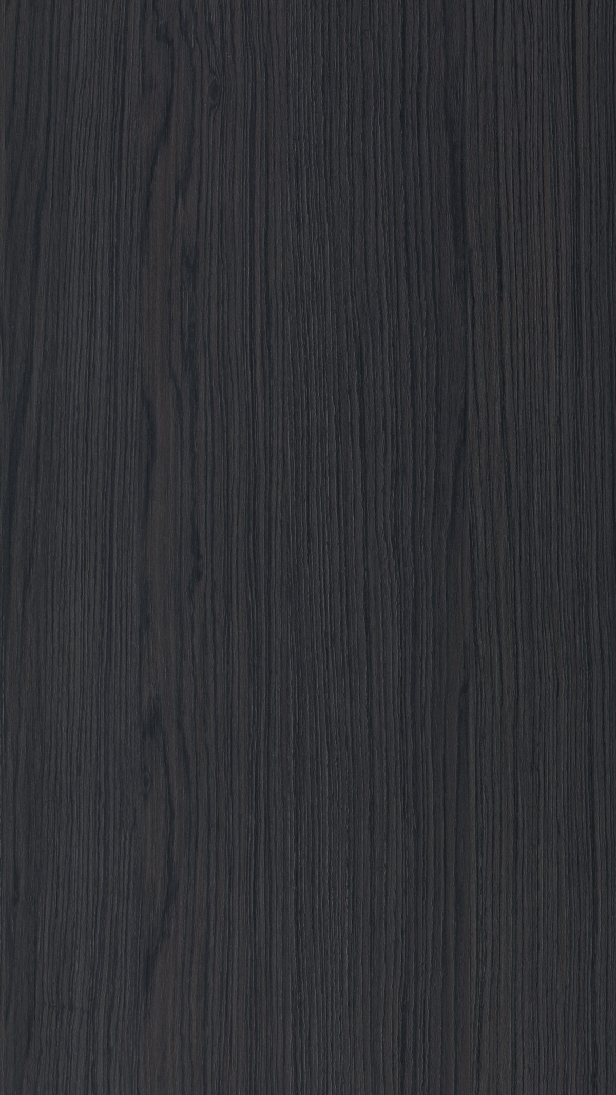 Canela Rio Gmm 0186 W (b)