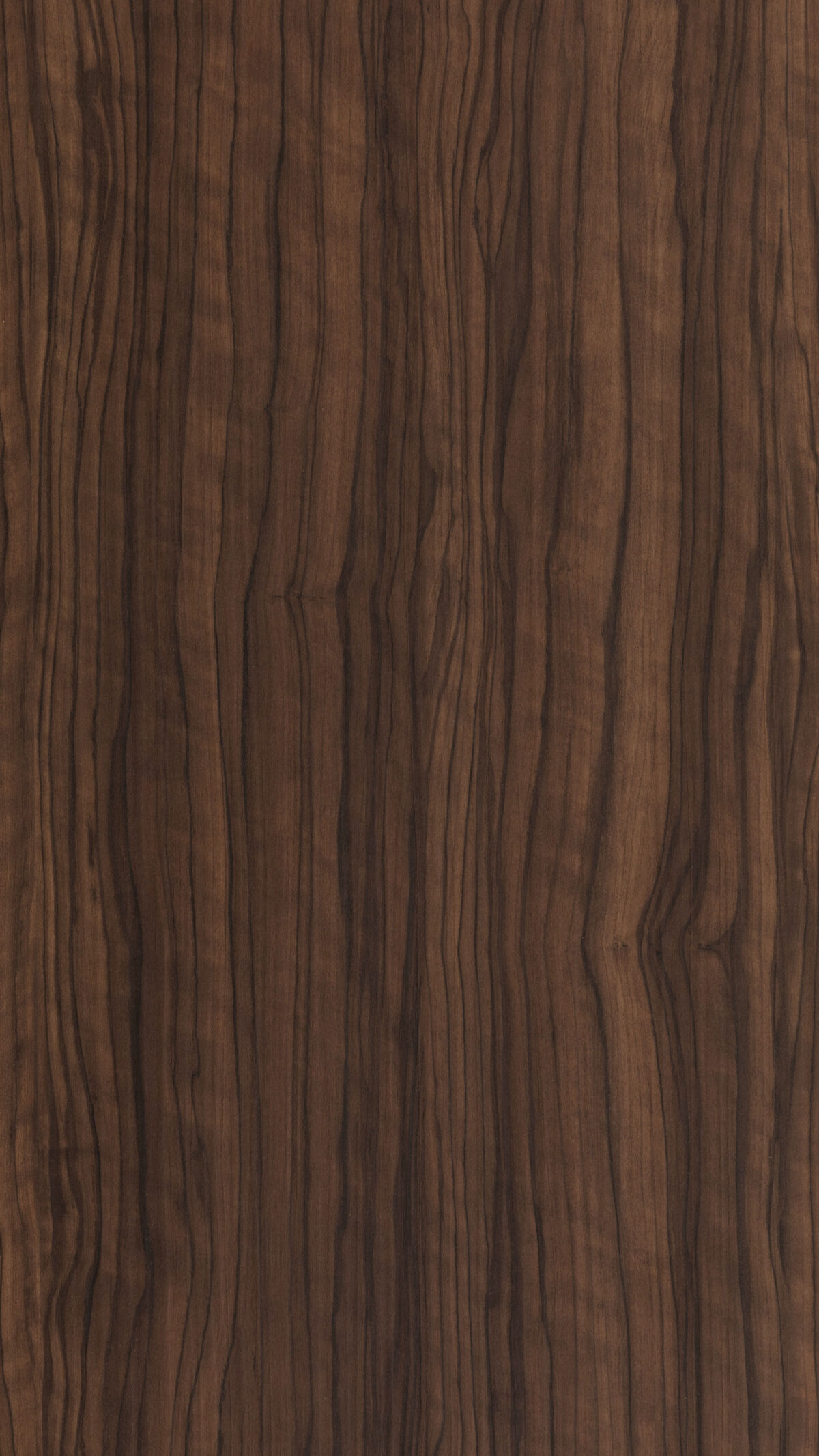 Celtic Ebony Gmm 0196 W (b)