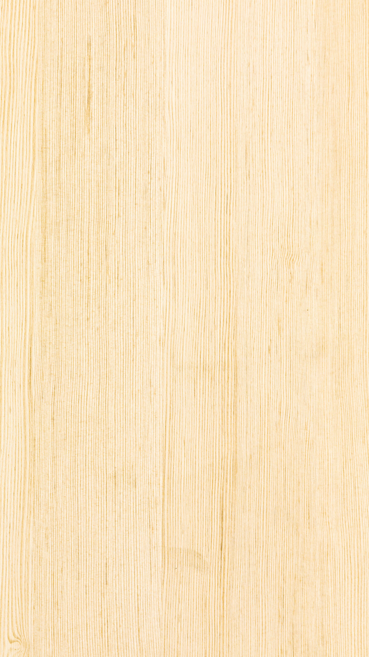 Douglas Pine Gmm 0007 S (b)