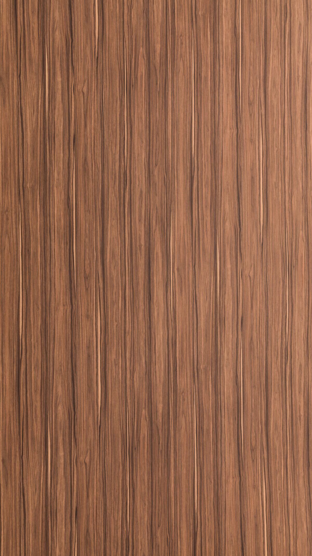 Ebony Sepia Gmm 0675 W (a)
