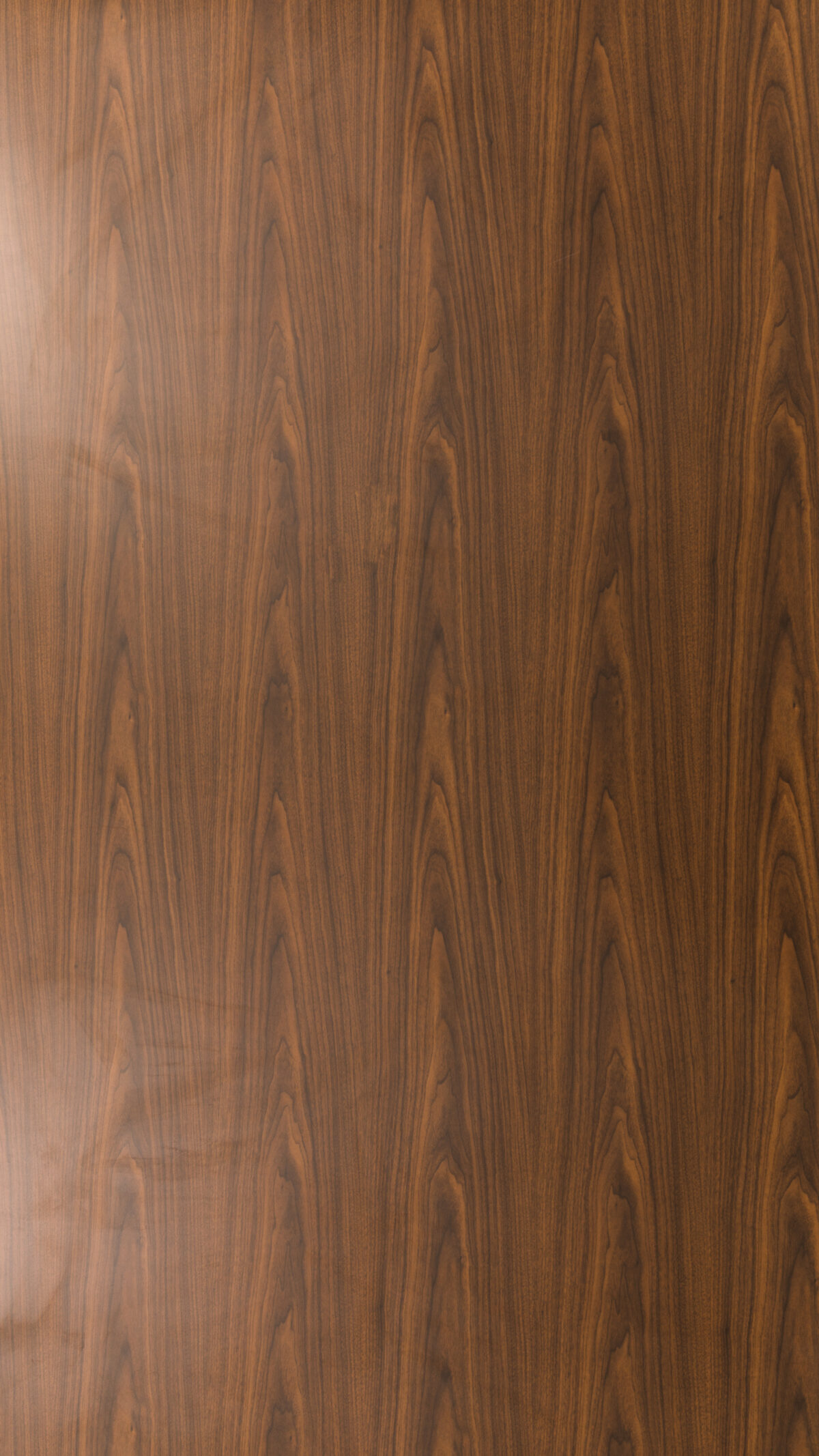 Gma 0884 S Montana Walnut
