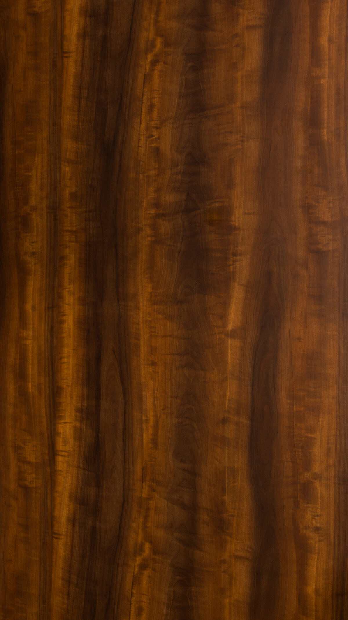 Gmm 0177 V Columbian Walnut