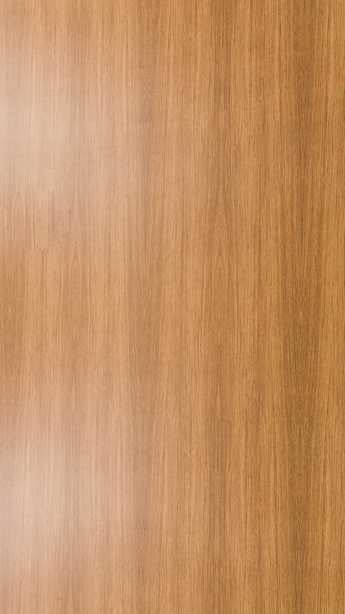 Gmm 0597 S Weatherd Oak