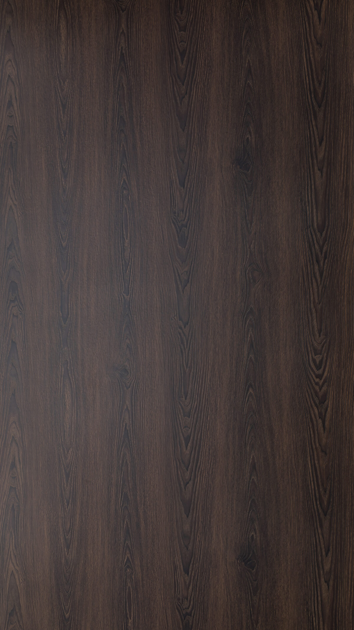 Gmm 0911 Ht Kerala Oak
