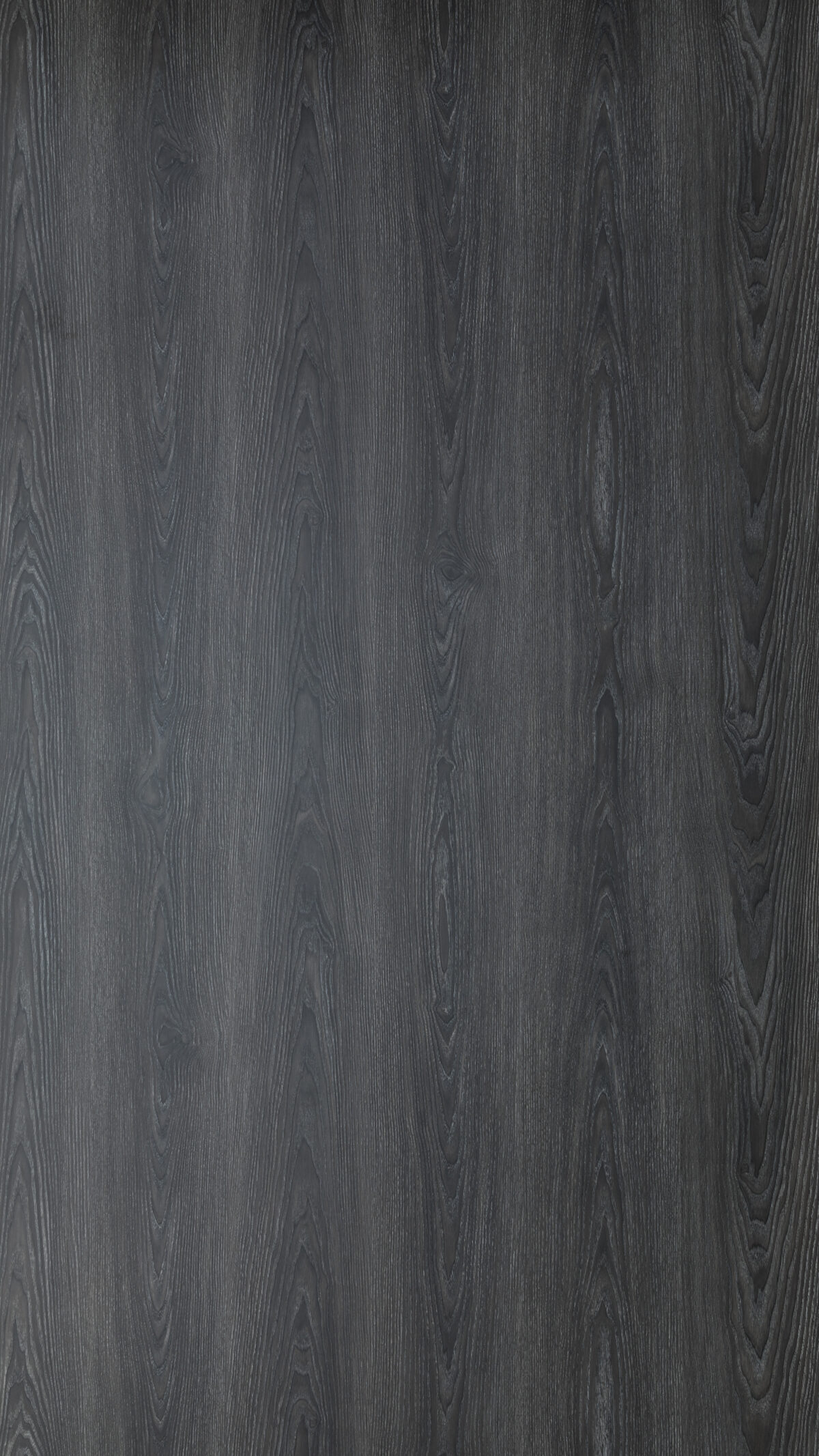 Gmm 0912 Ht Pandean Oak