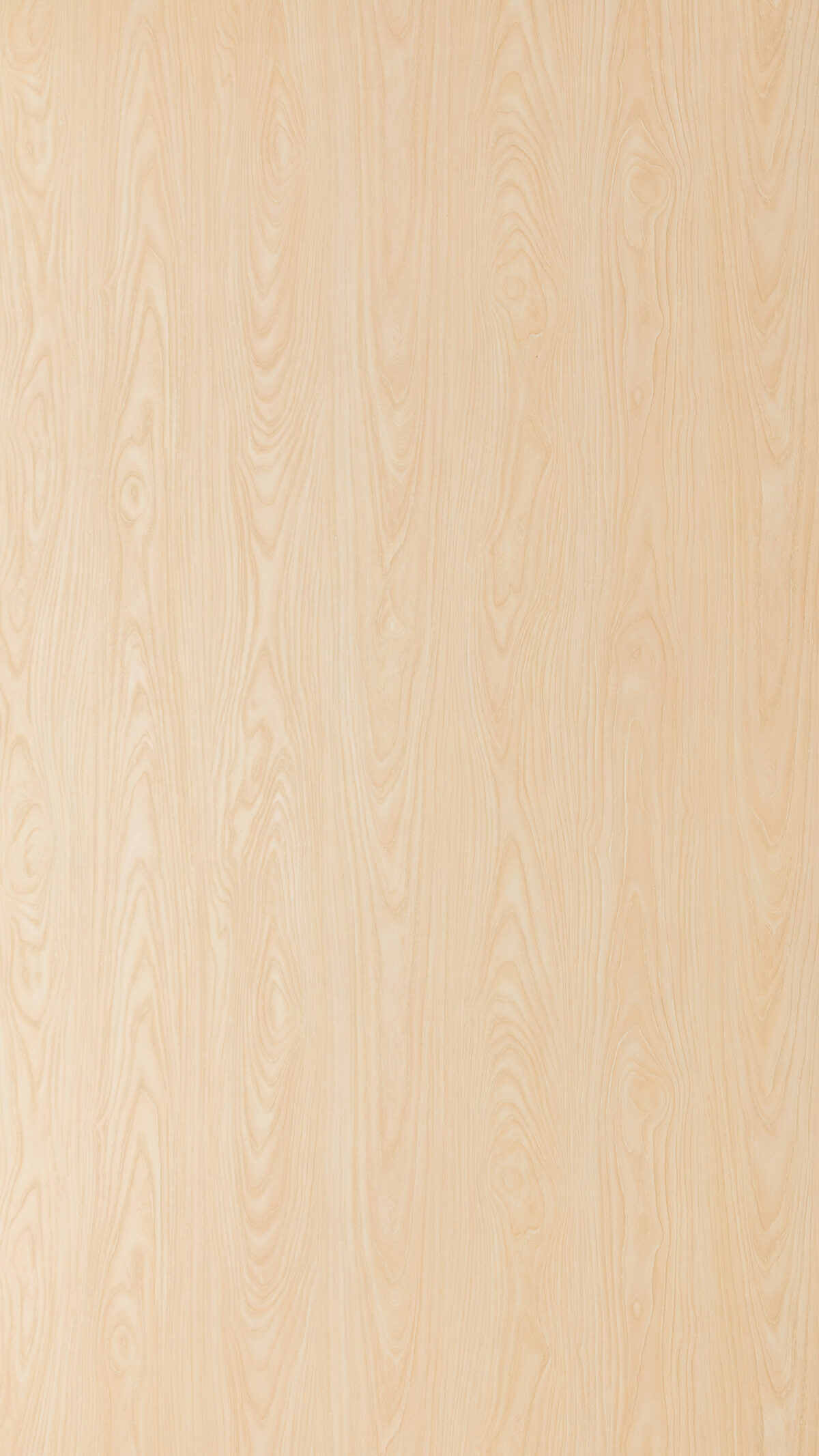 Gmm 0926 Ht Shimla Teak