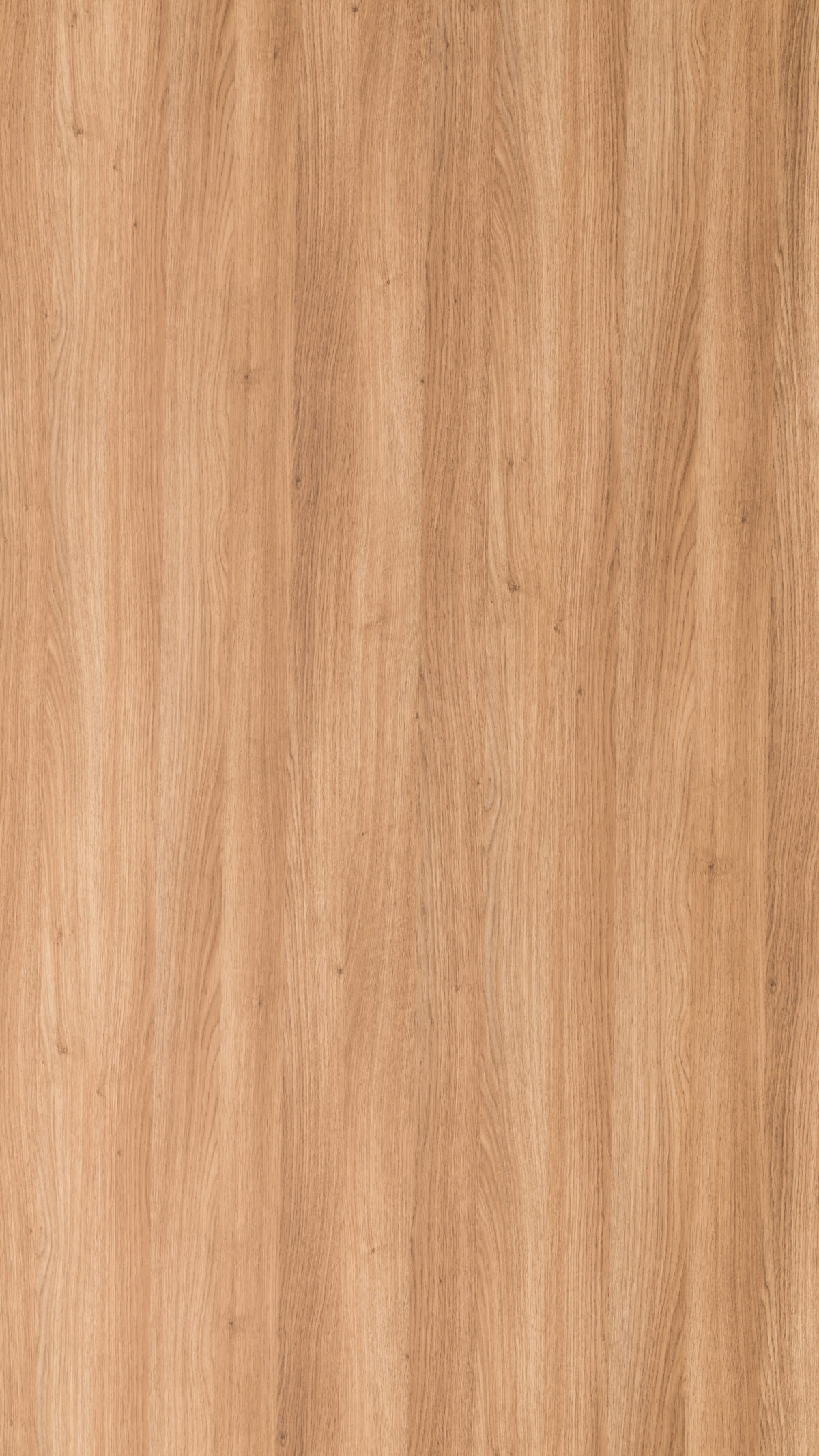 Gmm 2224 Dm Panthom Oak (2)
