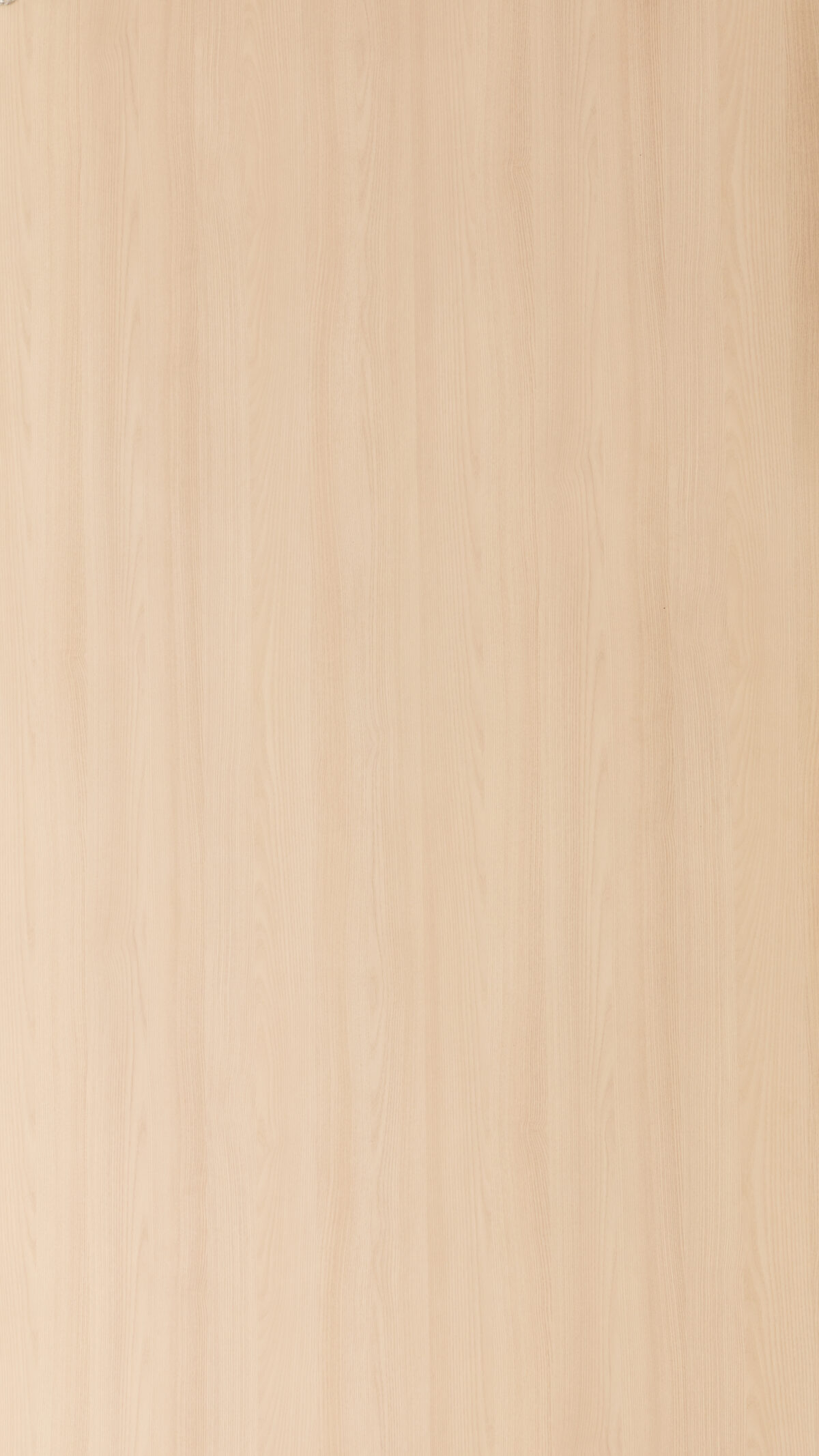 Gmm 2229 Dm Albino Lingua (1)