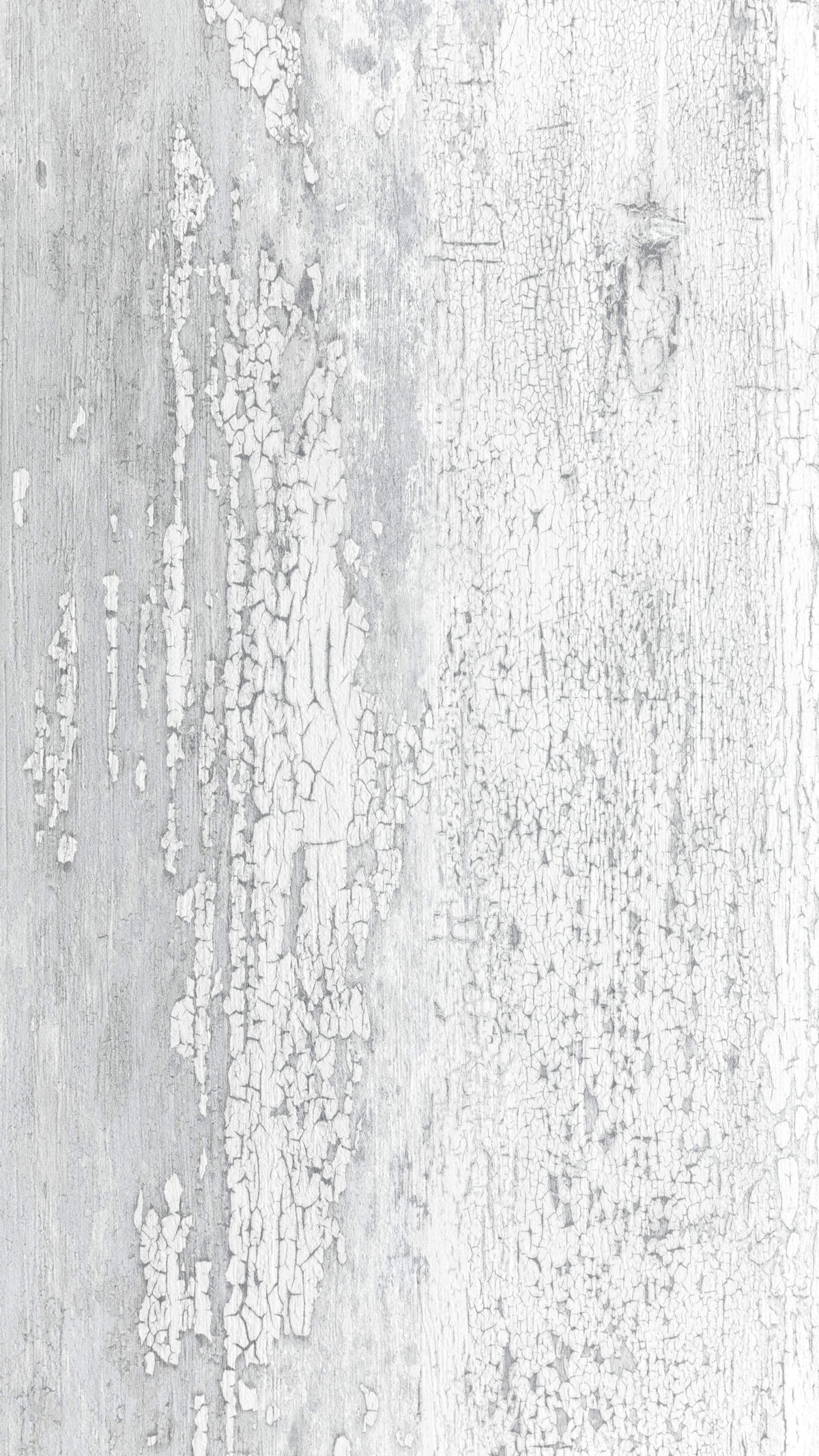 Gmm 2404 Vt Sky Rustic (b)