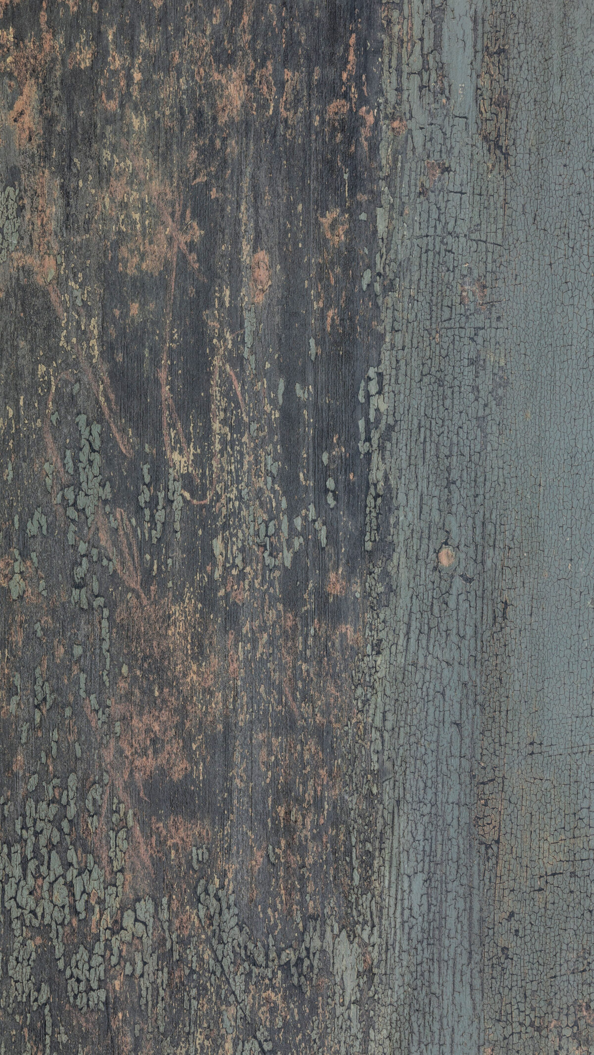 Gmm 2405 Vt Forest Rustic(b)