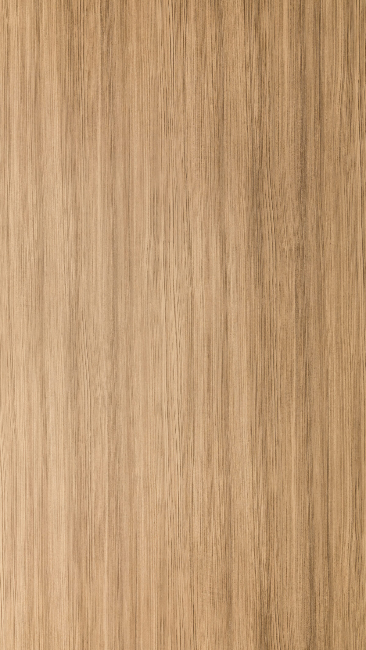 Gmm 2510 Dm Bronco Larch
