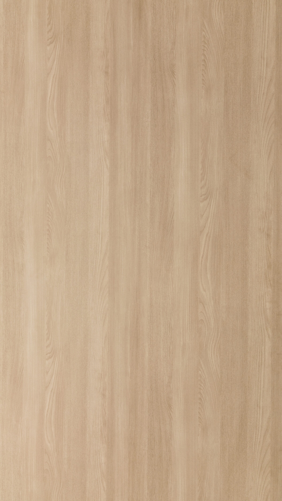 Gmm 2518 Dm Bavarian Ash (1)