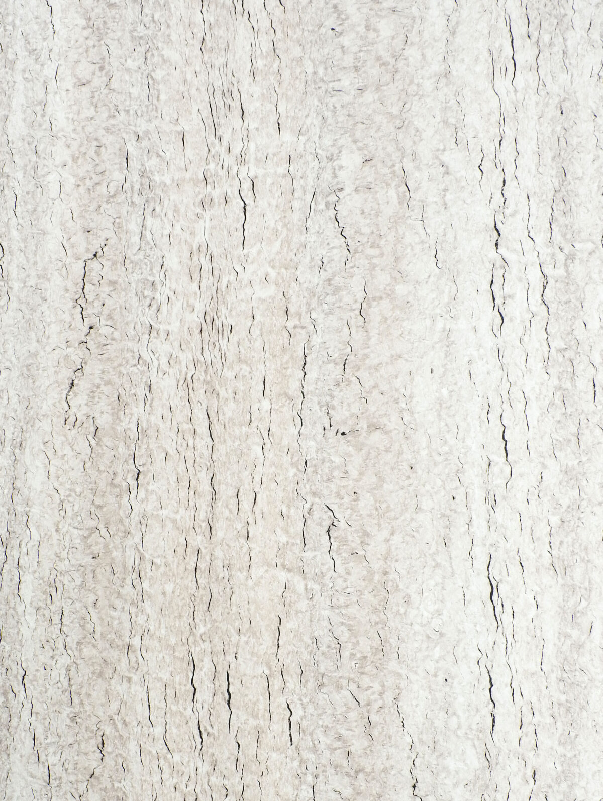 Rugby Fossil Gmm 9953 Cm (1)