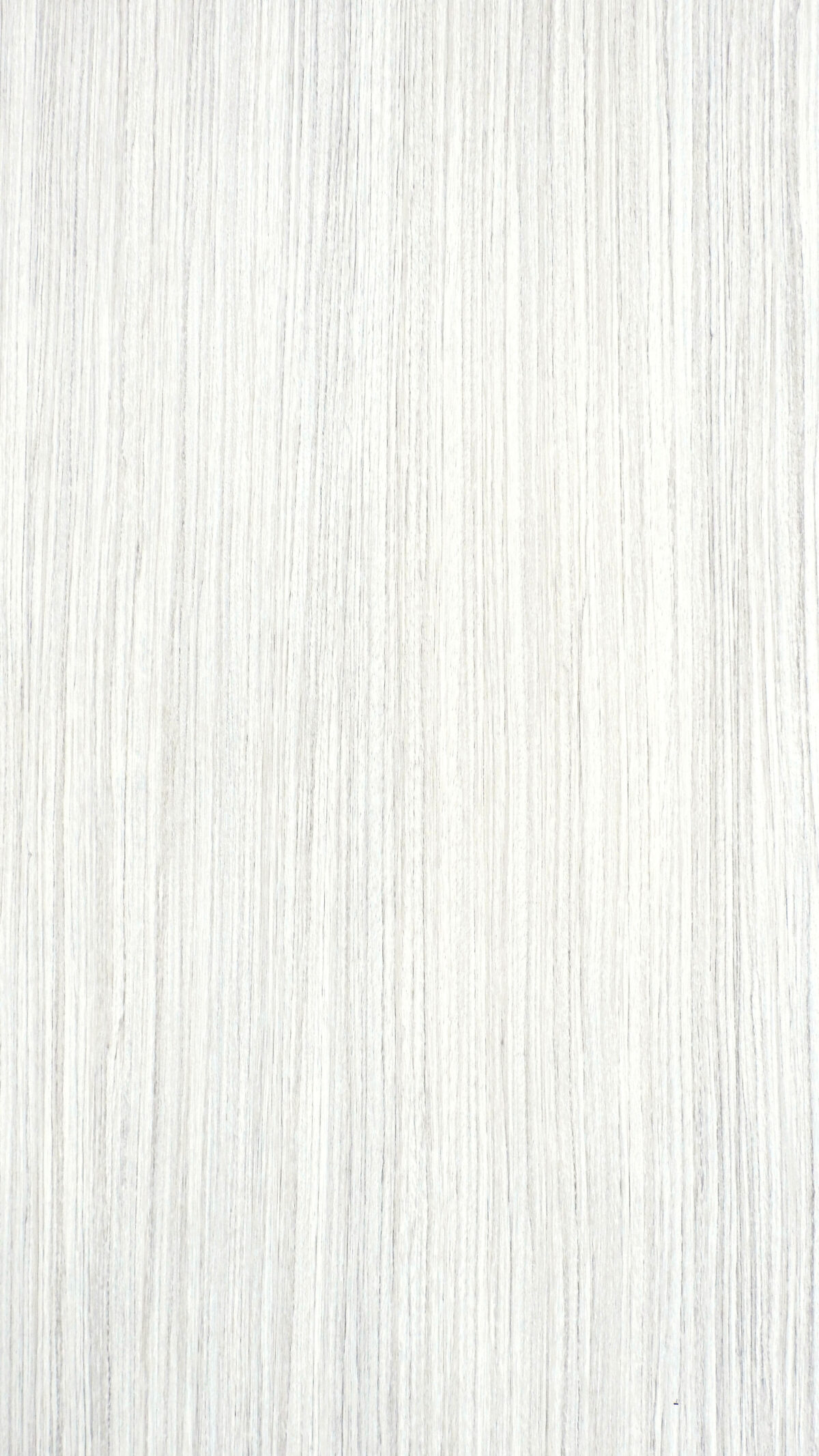 Tundra Forest Gmm 0189 W(1)