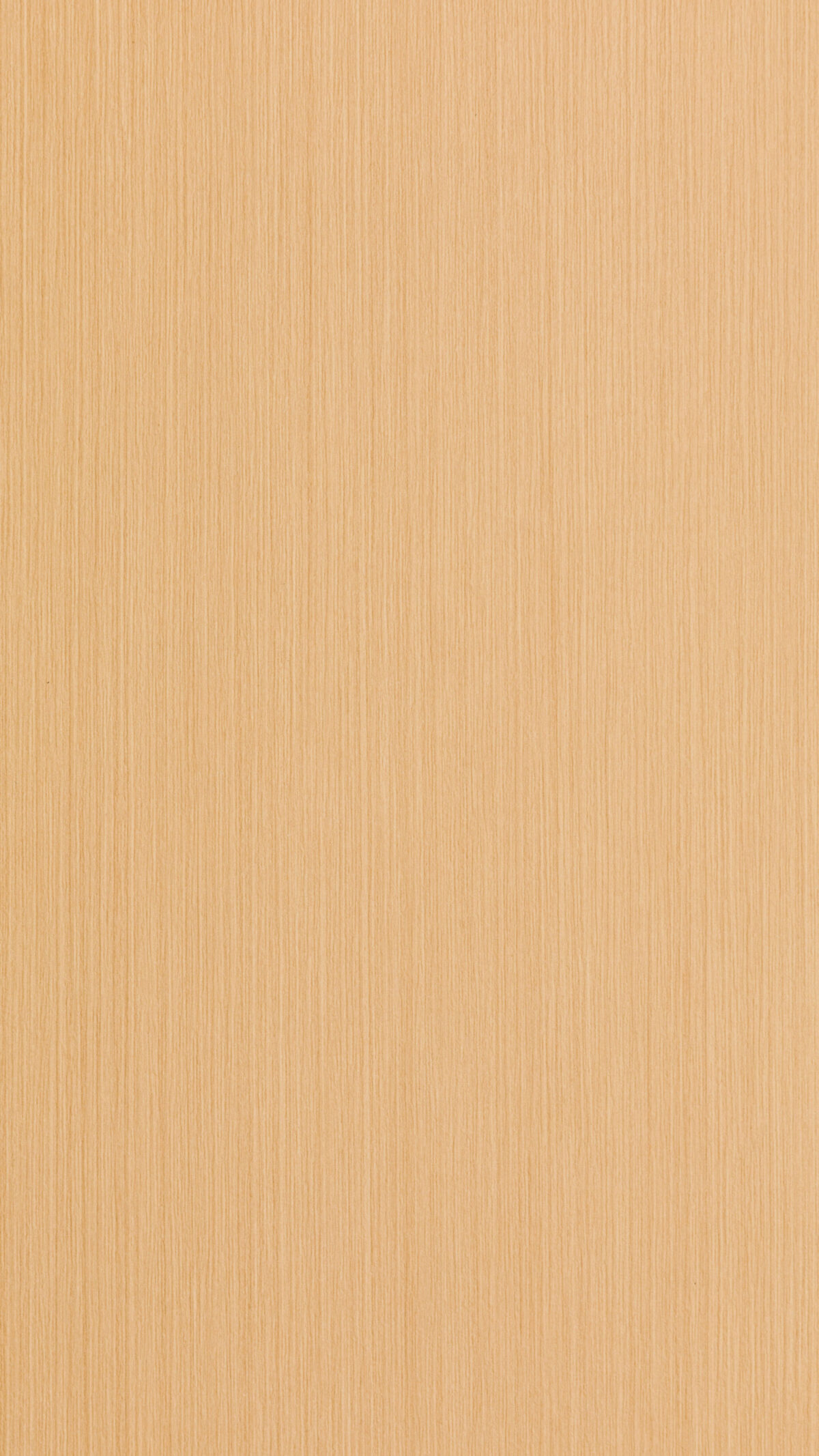 Vivid Straw Gmm 0241 G (b)