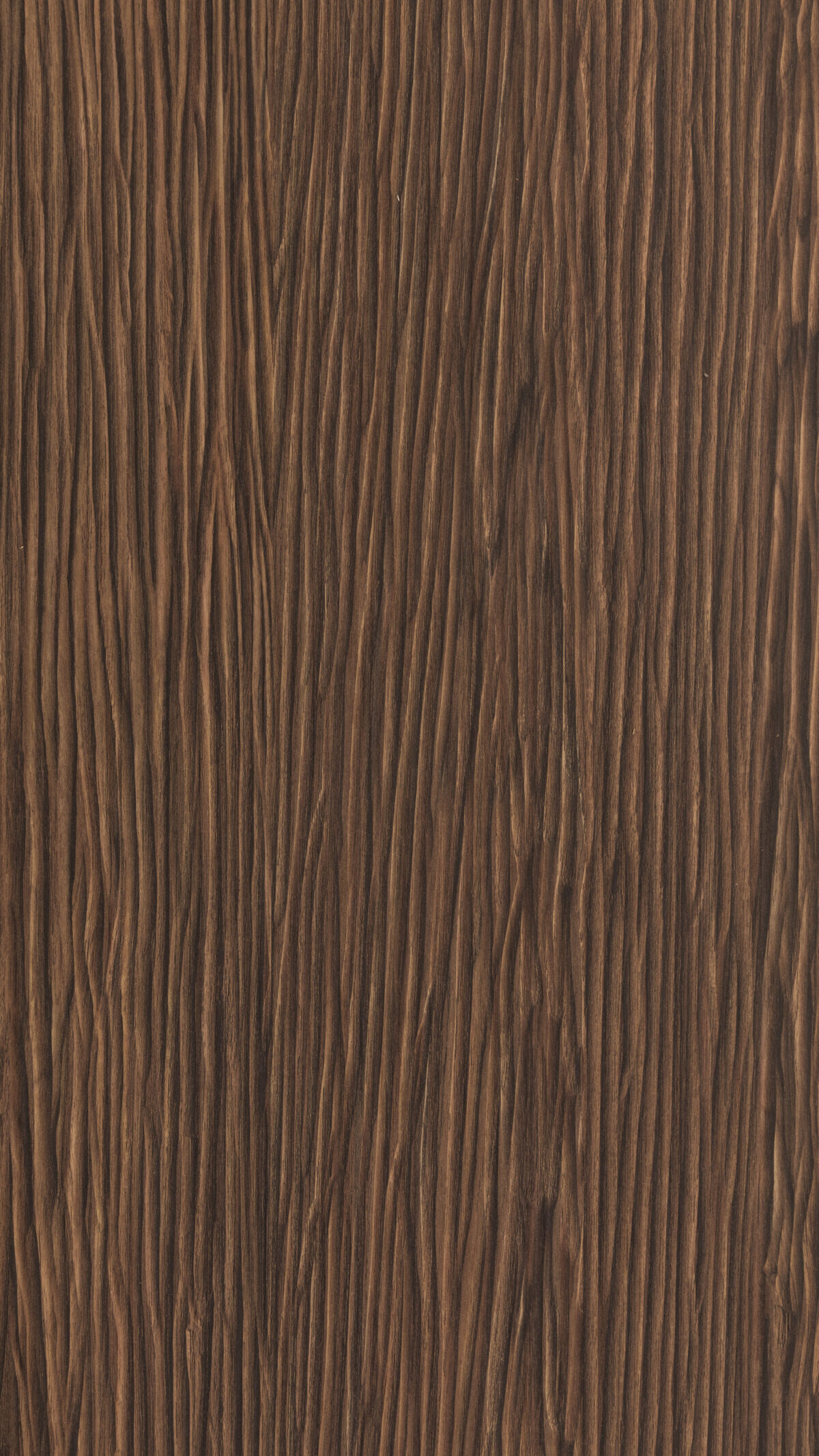 Woodlander Gmm 0566 W (b)