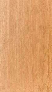 VS 0217 S – Copper Beech