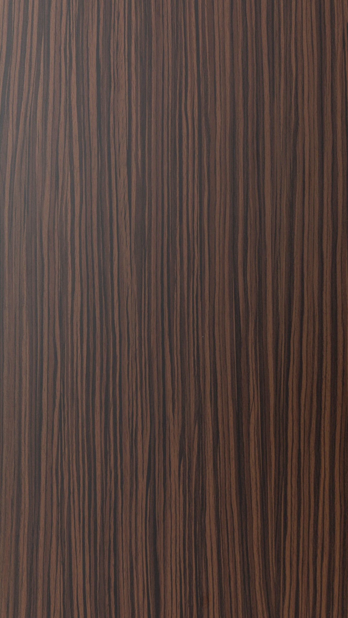 03 Brown Zebra Vs 0048 S