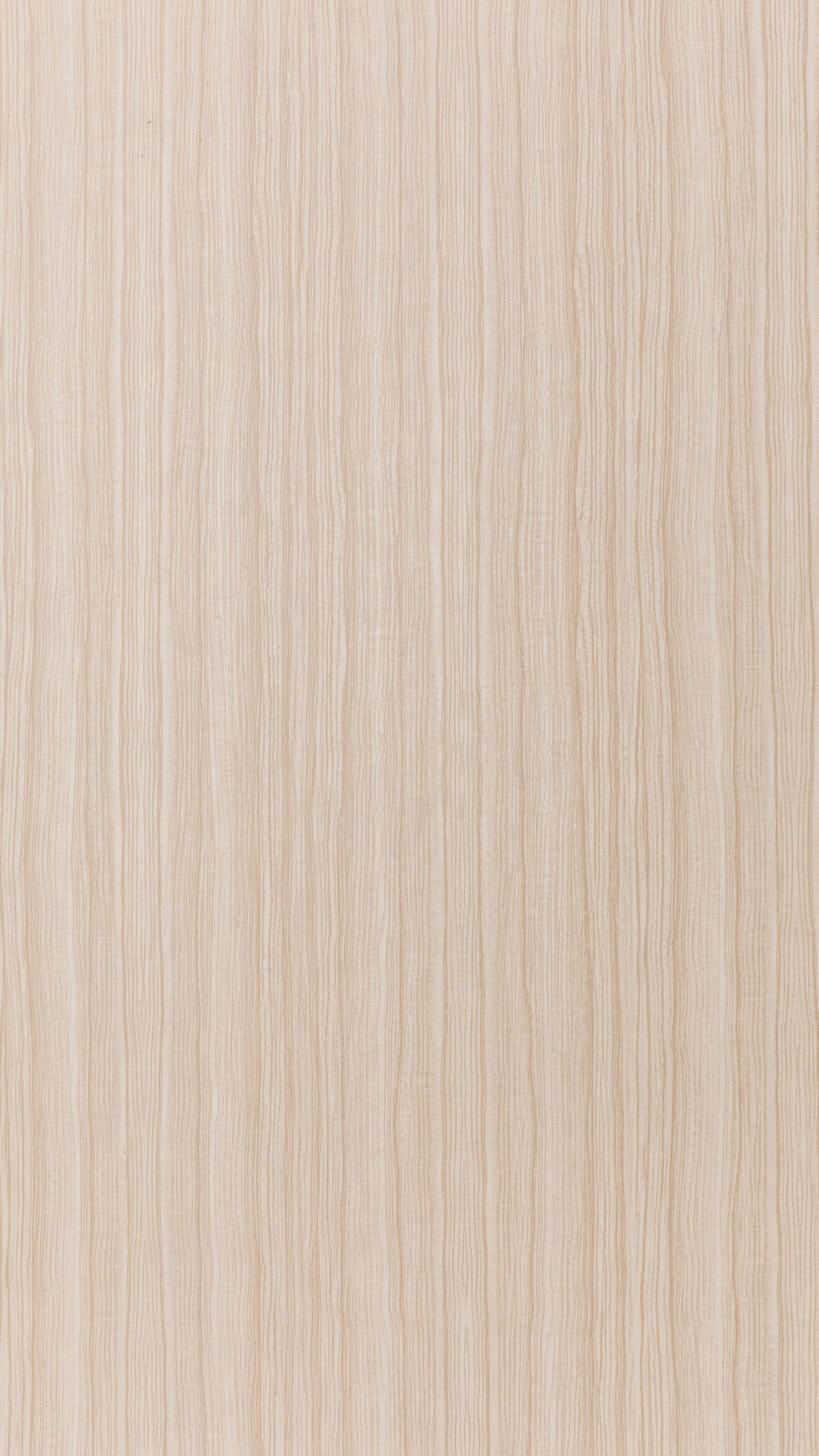 03 Hoop Pine Vd 0349 S