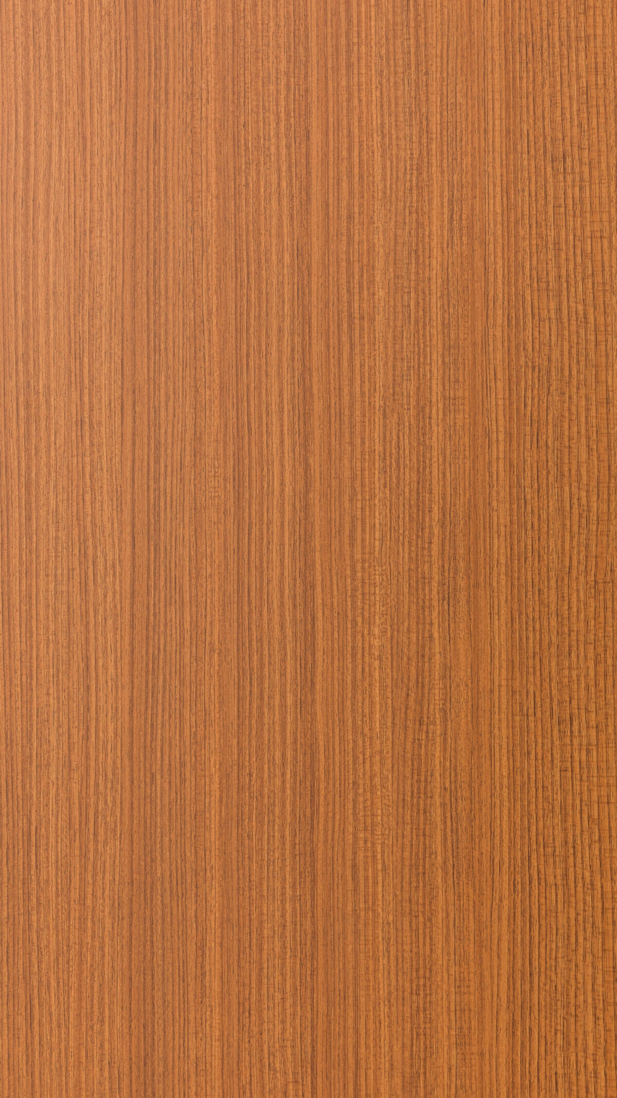 03 Plunk Teak Vs 0308 S