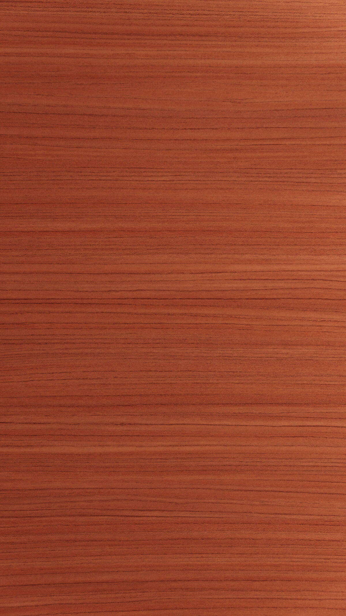 03 Teak Horizone ( Vs 2092 S