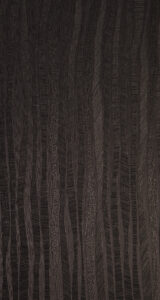 VT 0142 E9 – BLACK E9