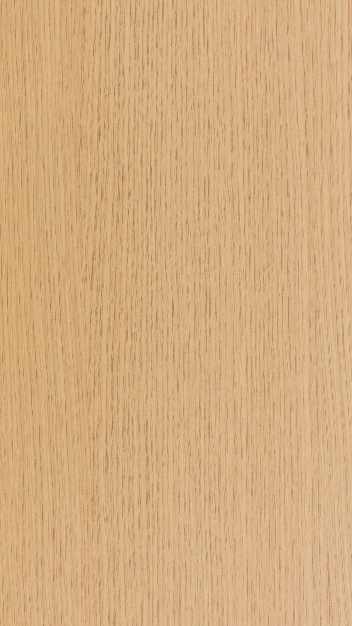 04 Bright Oak Vs 0128 S