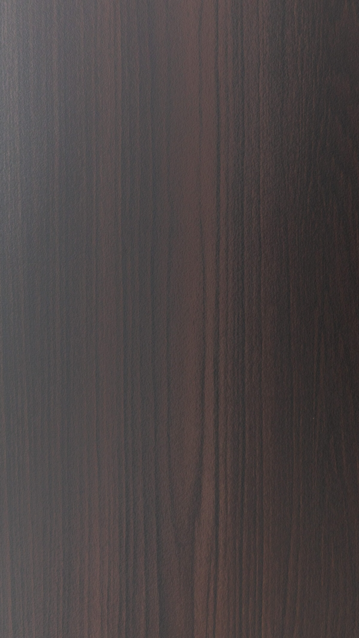 04 Noble Linosa Vs 0223 S