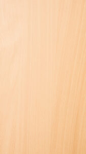 VS 0807 S – Silver Beech