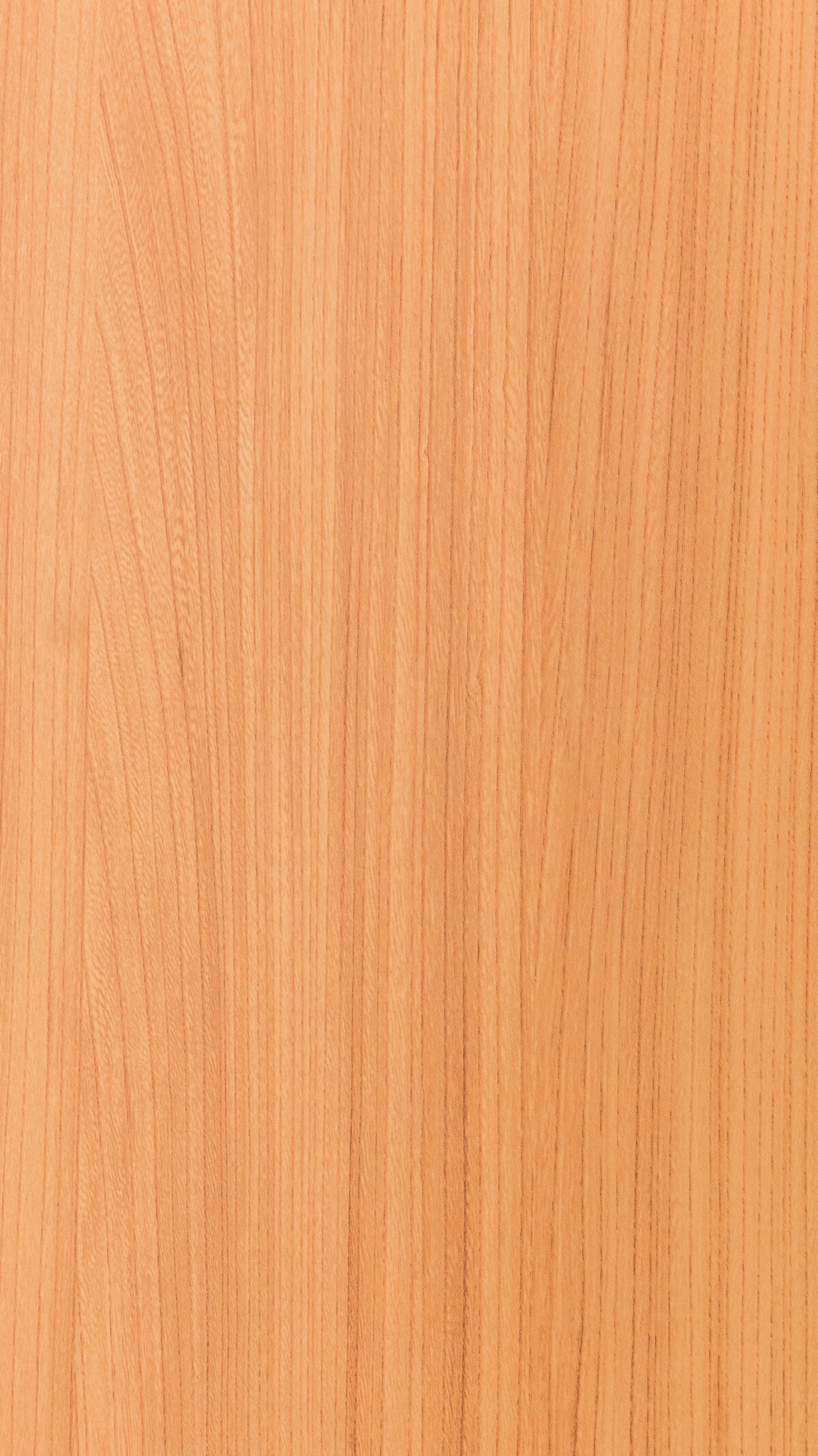 04 Vienna Elm Vs 0333 S