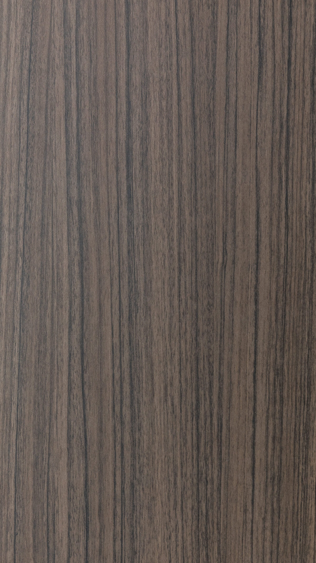 05 Java Kraftwood Vs 0383 S