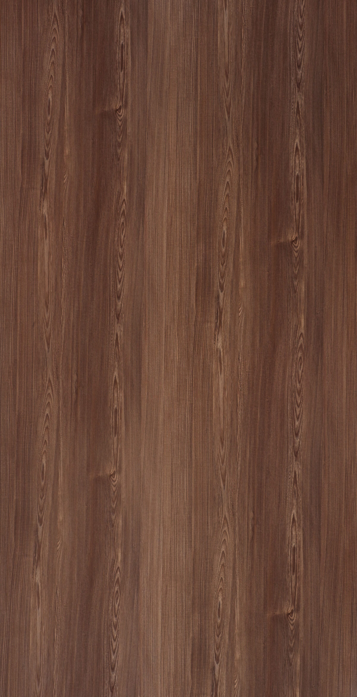 06 Coffee Noce Vd 70061 S