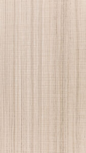 VD 0352 S – Balsam Fir